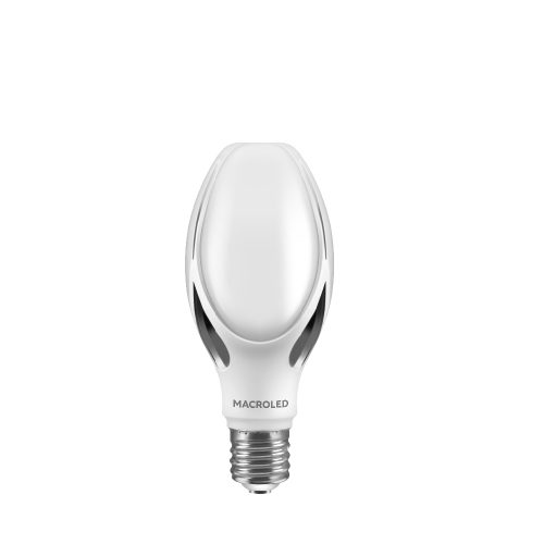 Magnolia 40W